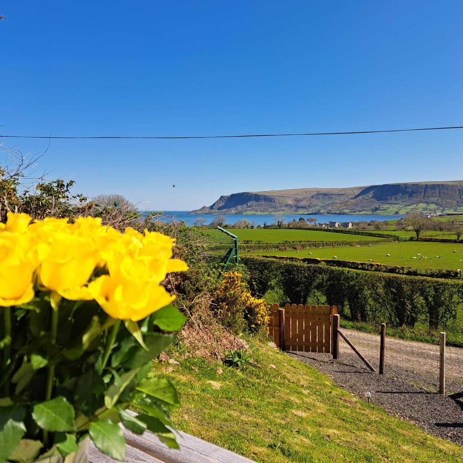 Villa Glens Glamping Cushendall Exterior foto